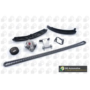 Cam / Timing Chain Kit With Gear