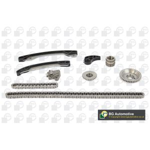 Cam / Timing Chain Kit With Gear