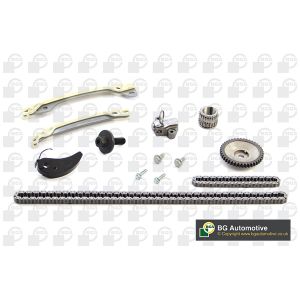 Cam / Timing Chain Kit With Gear