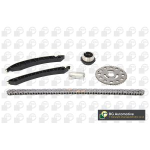 Cam / Timing Chain Kit With Gear