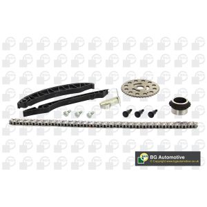 Cam / Timing Chain Kit With Gear