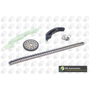 Cam / Timing Chain Kit With Gear