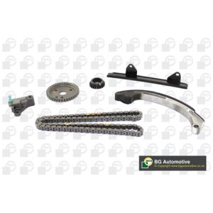 Cam / Timing Chain Kit With Gear