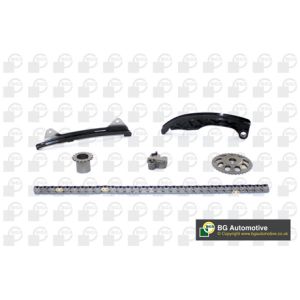 Cam / Timing Chain Kit With Gear