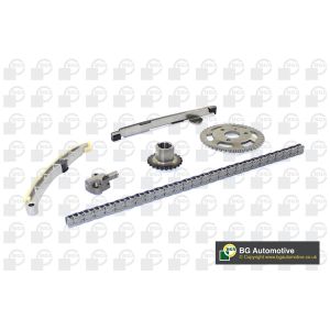 Cam / Timing Chain Kit With Gear