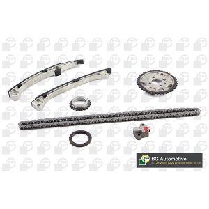 Cam / Timing Chain Kit With Gear