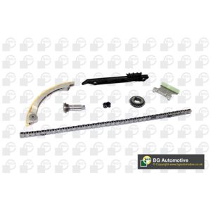 Cam / Timing Chain Kit With Gear