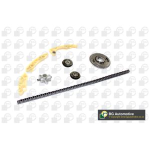 Cam / Timing Chain Kit With Gear