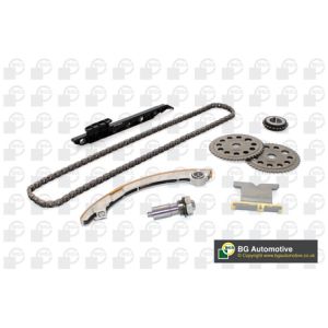 Cam / Timing Chain Kit With Gear