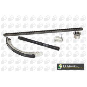 Cam / Timing Chain Kit With Gear