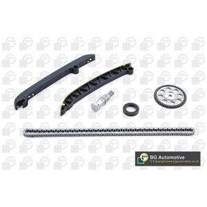 Cam / Timing Chain Kit With Gear