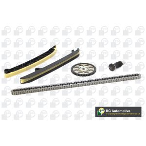 Cam / Timing Chain Kit With Gear