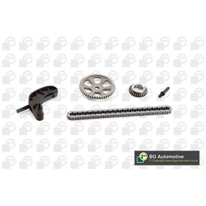 Cam / Timing Chain Kit With Gear