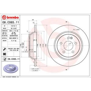 Rear Solid Brake Disc Pair Coated - 300mm Diameter