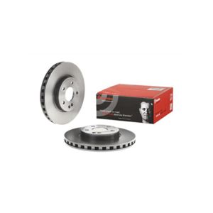 FRONT VENTED BRAKE DISC PAIR COATED - 300MM DIAMETER