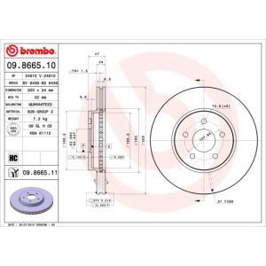 Front Vented Brake Disc Pair Coated - 300mm Diameter