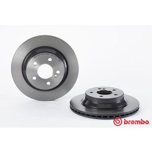 Rear Vented Brake Disc Pair Coated - 300mm Diameter