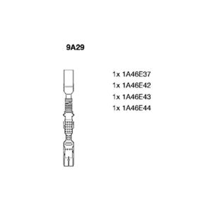 Ignition Lead Set