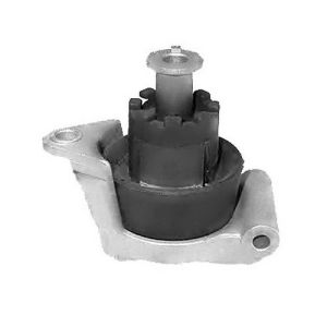 Engine Mount - Rear