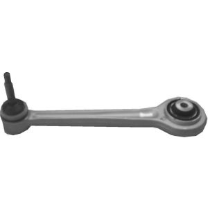 Rear Track Control Arm