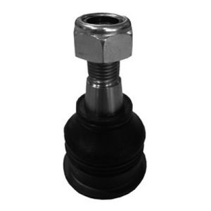 Ball Joint - Front