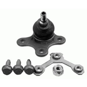 Ball Joint - Front