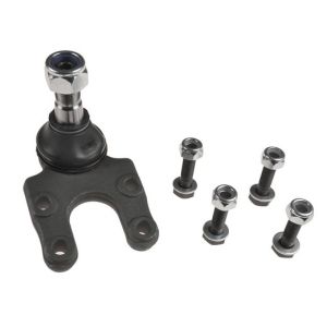 Ball Joint - Front