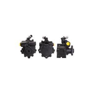 Steering System Hydraulic Pump