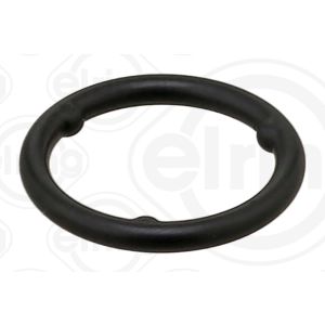 Oil Cooler Seal