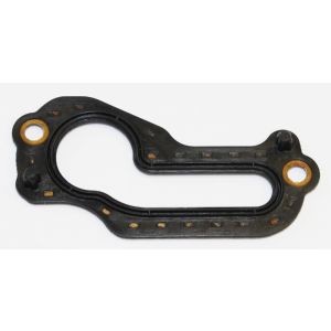 Oil Pan Gasket