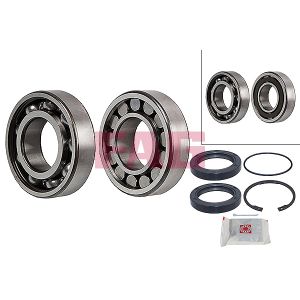 Wheel Bearing - Rear