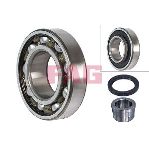 Wheel Bearing - Rear