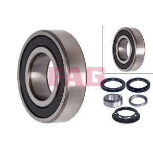 Wheel Bearing - Rear