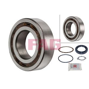 Wheel Bearing - Rear