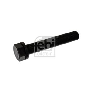 Crankshaft Pulley Bolt