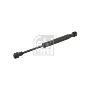 Bonnet / Tailgate Gas Strut