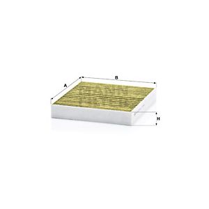 Cabin Filter - Carbon with polyphenol