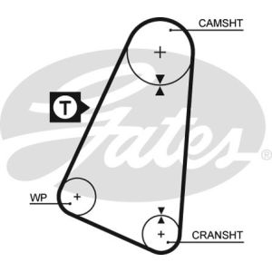 Cam / Timing Belt