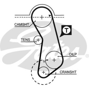 Cam / Timing Belt