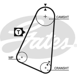 Cam / Timing Belt