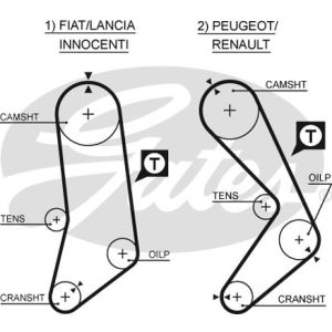 Cam / Timing Belt