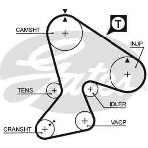 Cam / Timing Belt