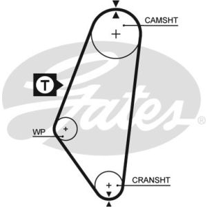 Cam / Timing Belt