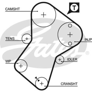 Cam / Timing Belt