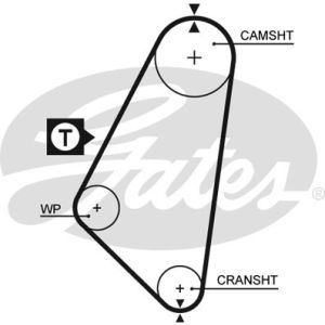 Cam / Timing Belt