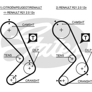 Cam / Timing Belt