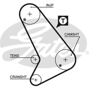 Cam / Timing Belt