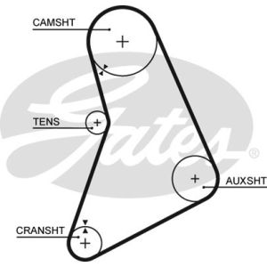 Cam / Timing Belt