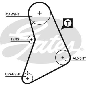 Cam / Timing Belt