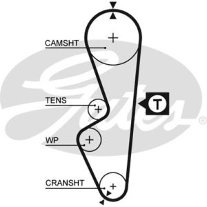 Cam / Timing Belt